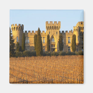 Imã O vinhedo com videiras syrah e o castelo
