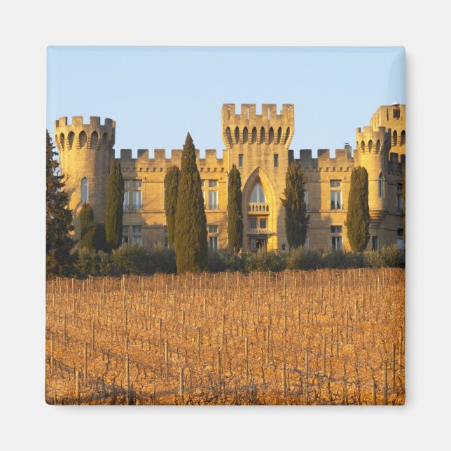 Imã O vinhedo com videiras syrah e o castelo (Frente)