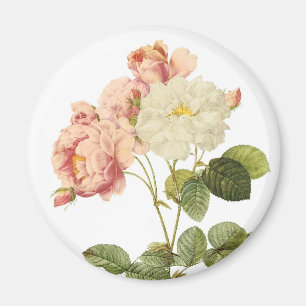 Imã O vintage floresce o ímã 2