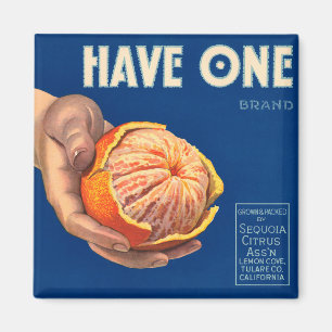 Imã O vintage tem uma propaganda da sequóia da marca