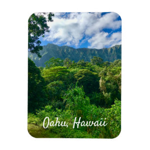 Ímã Oahu, Floresta Rainha do Havaí