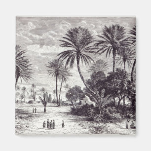 Imã Oásis de Gafsa: Tunes