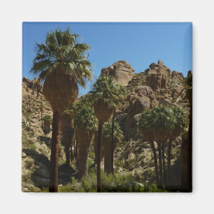 Imã Oásis Lost Palms I no Parque Nacional Joshua Tree