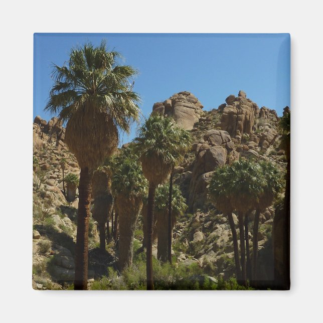Imã Oásis Lost Palms I no Parque Nacional Joshua Tree (Frente)