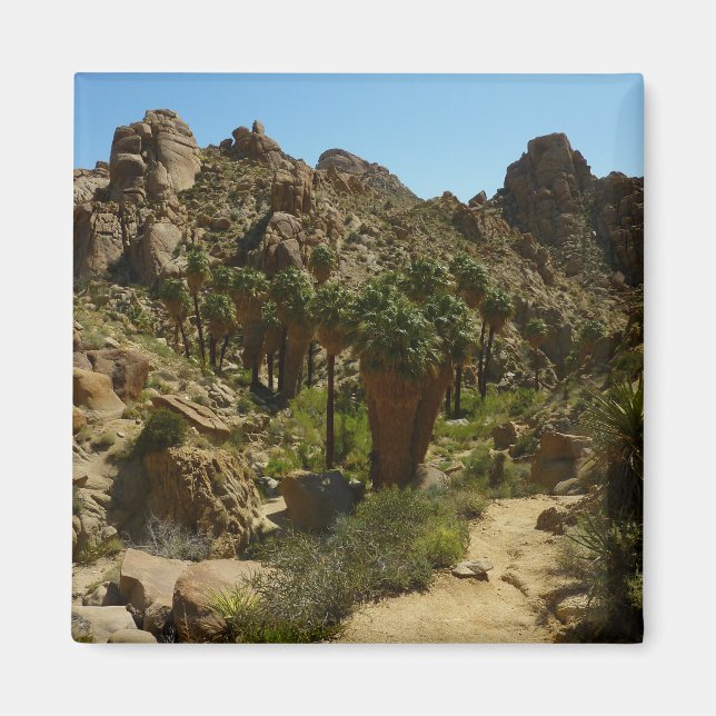Imã Oásis Lost Palms II no Parque Nacional Joshua Tree (Frente)