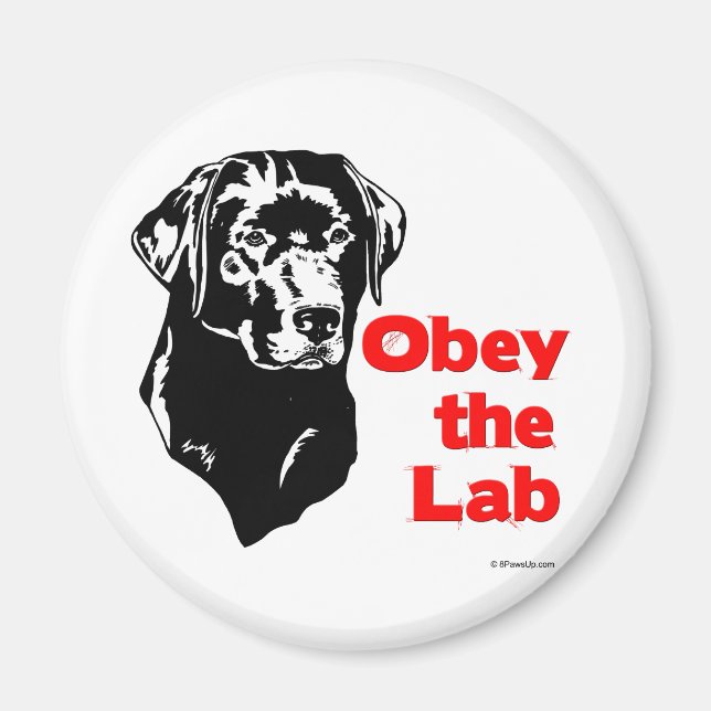 Imã Obedeça ao laboratório (Frente)
