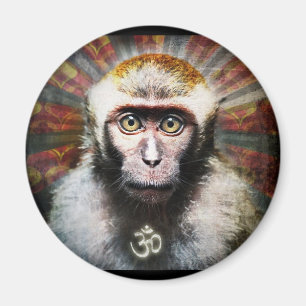 Imã obedeça meu macaco