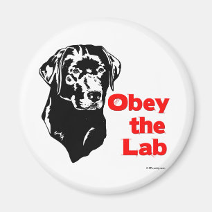 Imã Obedeça o laboratório