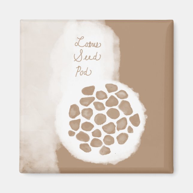 Imã objet_11_lotus semente pod (Frente)