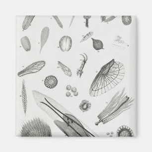 Imã Objetos microscópicos2