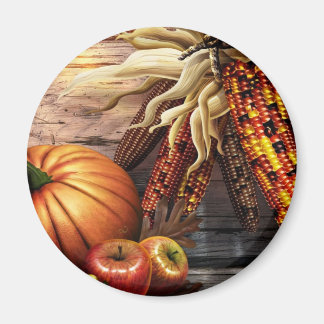 IMÃ OBRIGAÇÃO 2009