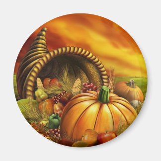 IMÃ OBRIGAÇÃO 2009