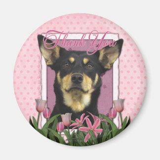 Imã Obrigado - australiano Kelpie - Jude
