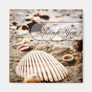 Imã Obrigado ímã da praia dos Seashells