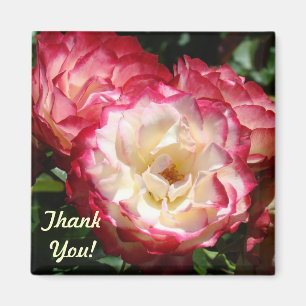 Imã Obrigado! ímãs presentes Flores Rosa Branca Rosa