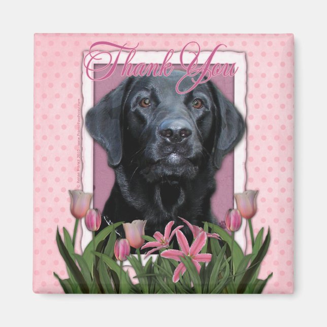Imã Obrigado - Labrador - Preto - Gage (Frente)