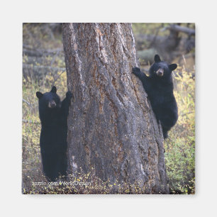 Imã Obrigado presente