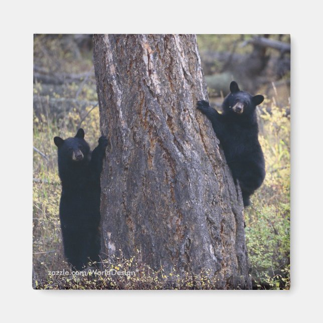 Imã Obrigado presente (Frente)