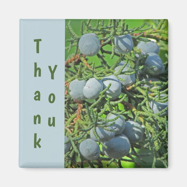 Imã Obrigado Primavera Pine Berries. (Frente)