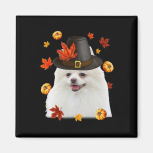 Imã Obrigados Felizes do Cachorro Pomeraniano Pilgrim