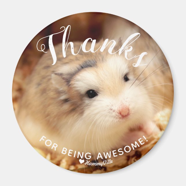 Imã Obrigados para ser um excelente Hamster fofo (Frente)