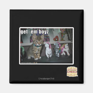 Imã Obtenha o boyz do em