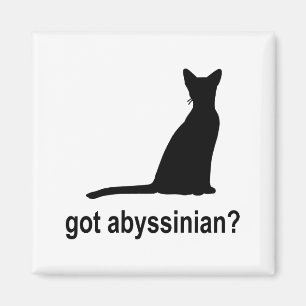Imã Obtido Abyssinian?
