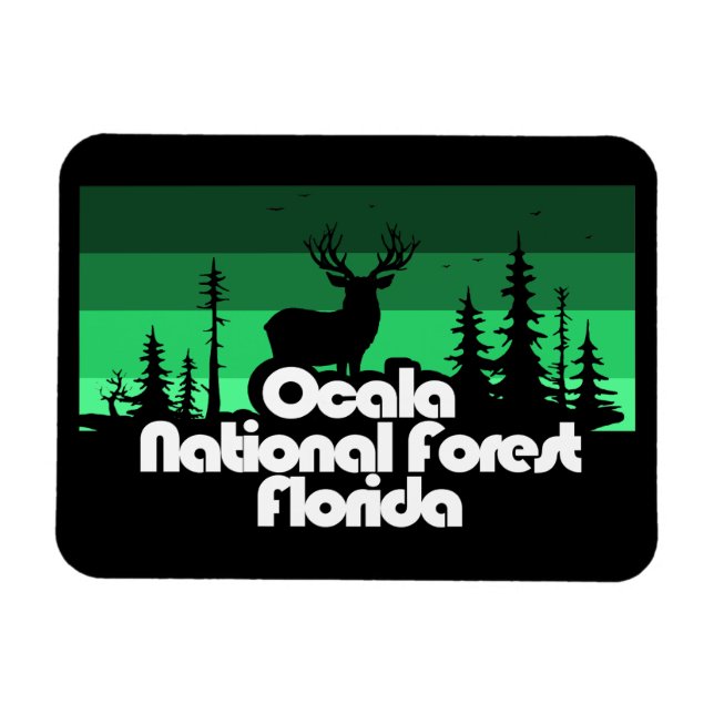 Ímã Ocala National Forest Florida (Horizontal)