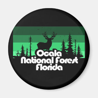 Imã Ocala National Forest Florida