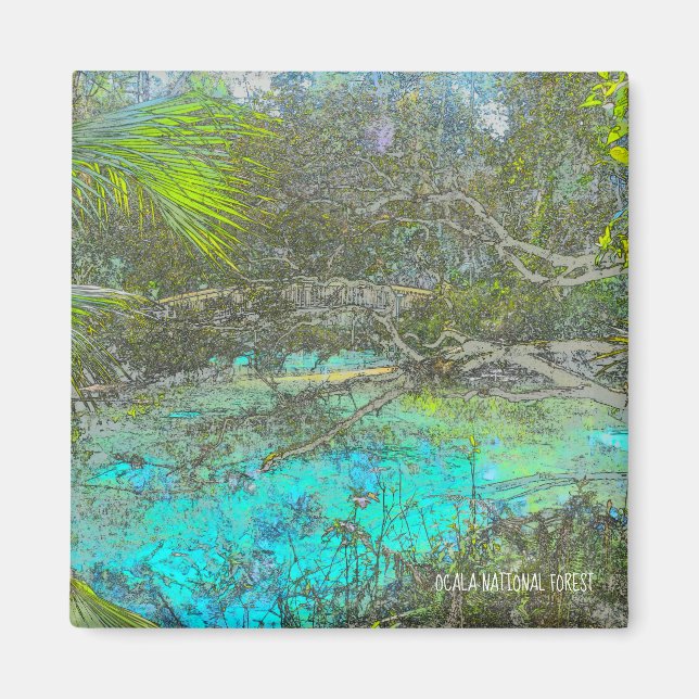 Imã Ocala National Forest Florida Magnet (Frente)