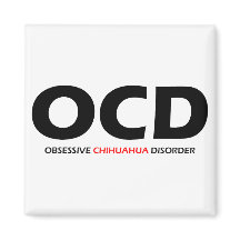 OCD - Transtorno Obssessivo de Chihuahua