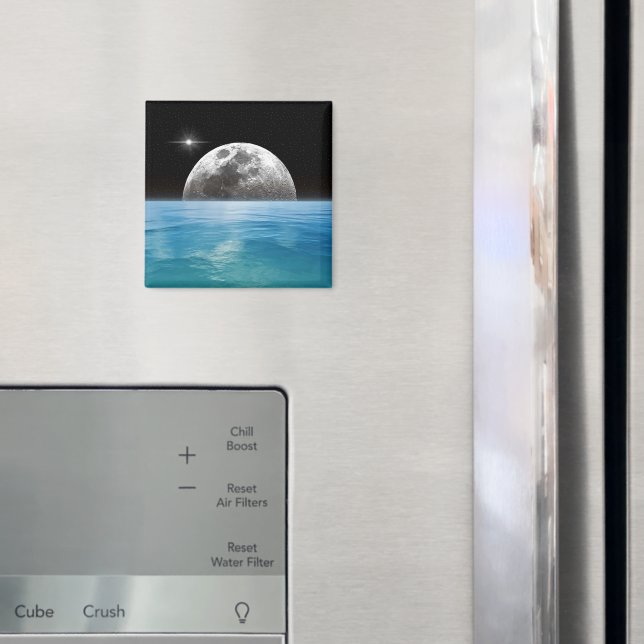 Imã Oceano lunar (In Situ (Fridge))