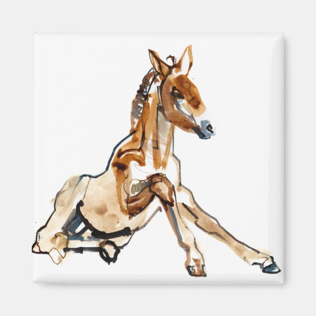 Imã Ochre Foal (Frente)