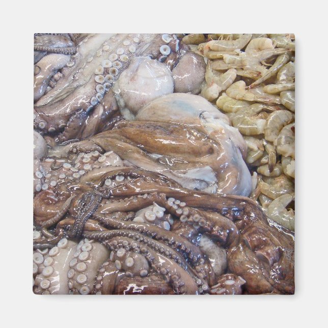 Imã Octopi (Frente)