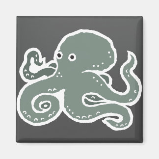Imã Octopus