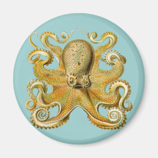 Imã Octopus de Ernst Haeckel