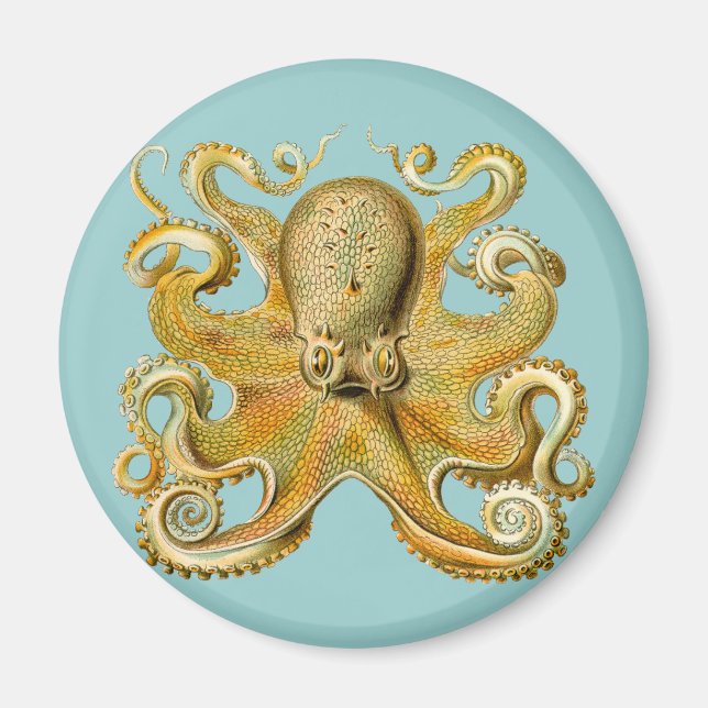 Imã Octopus de Ernst Haeckel (Frente)