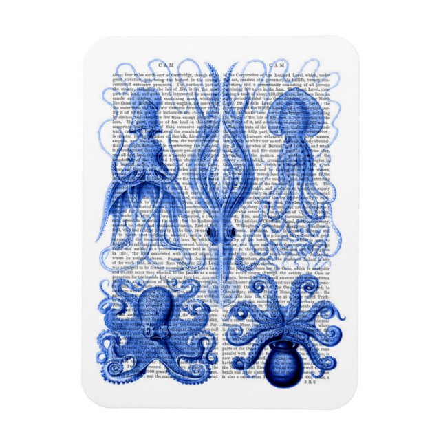 Ímã Octopus e Lula Azul (Vertical)
