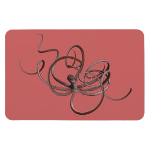 Ímã Octopus gigante