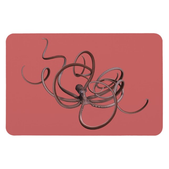 Ímã Octopus gigante (Horizontal)