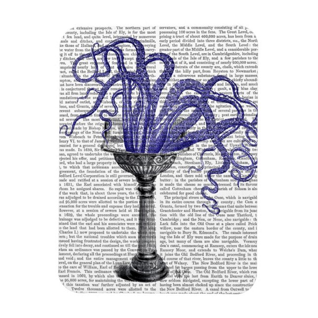 Ímã Octopus no Sink (Vertical)