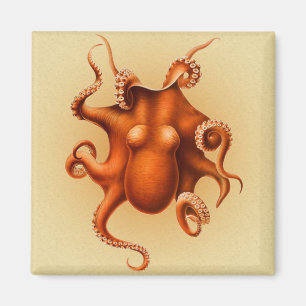 Imã Octopus Red Cephalopod Vintage Kraken
