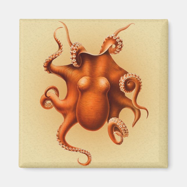 Imã Octopus Sea Monster Cephalapod Vintage (Frente)