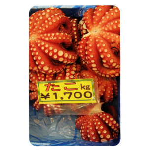 Ímã Octopus Tako た こ Tsukiji Fish Market, Tóquio,