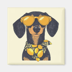 Imã Óculos de Sol de Cachorro Dachshund Legais Limões