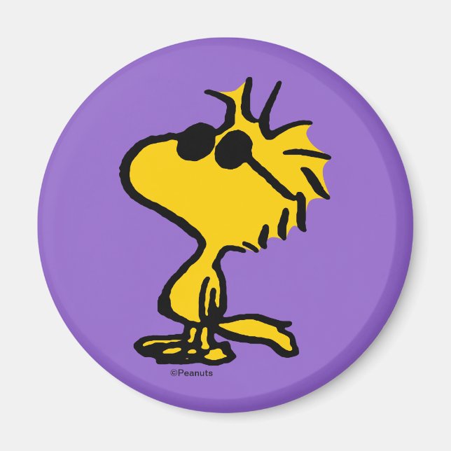 Imã Óculos de sol Legal de madeira (Frente)