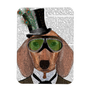 Ímã Óculos Verdes Dachshund - Chapéu Superior