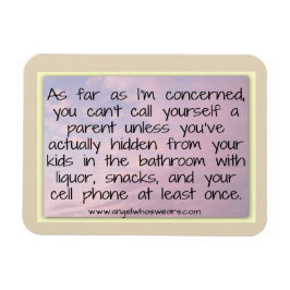 Ímã Ocultar O Magnete Do Banheiro