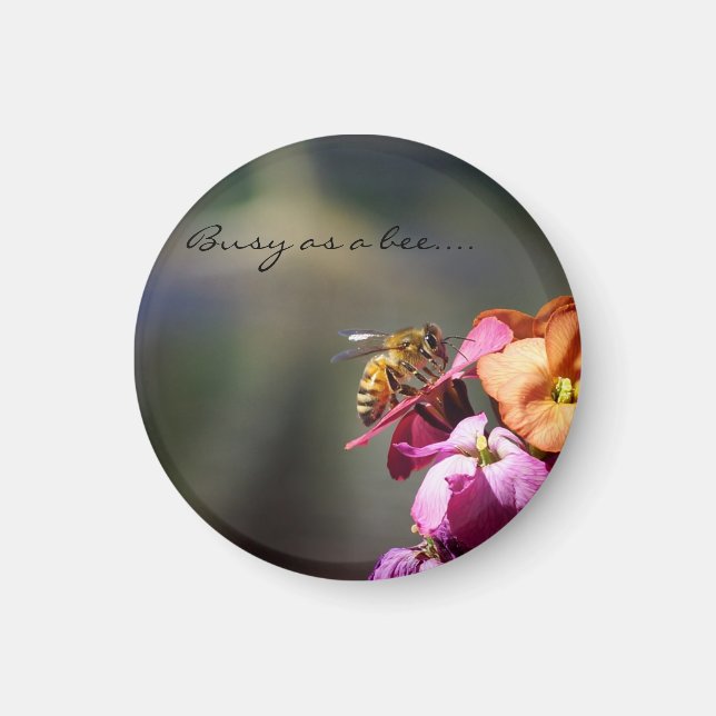 Imã Ocupado como recompensa de Abelhas... (Frente)