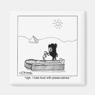 Imã Odeio Comida Com Conservantes